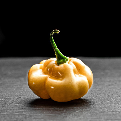 Насіння перцю 7 Пот (7 Pot) білий (white)